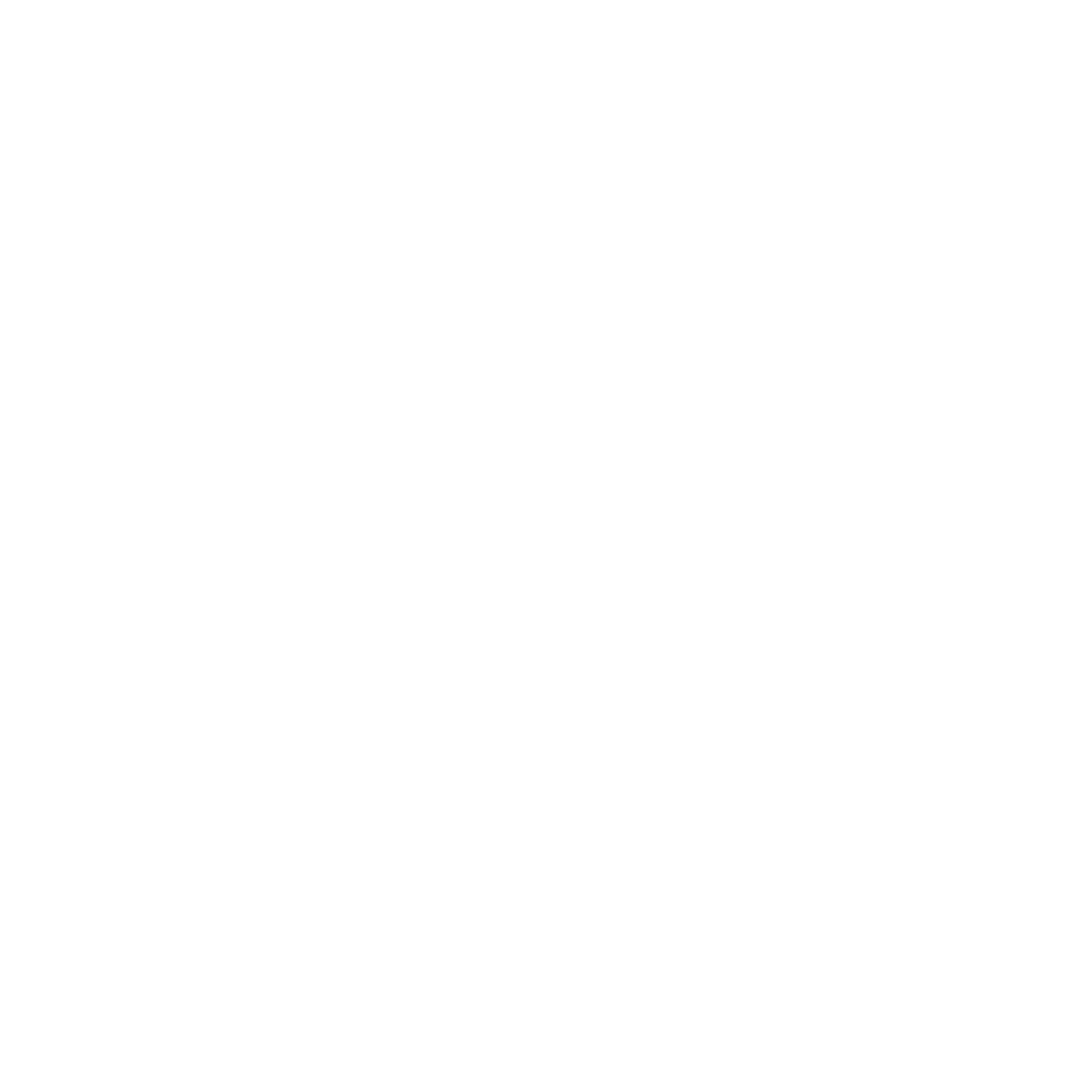 TikTok Icon